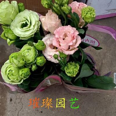 陰木？近年來常散見于上海花市場或個體花販?zhǔn)种?，耐陰性?qiáng)，是制作小型盆景的好材料之一。那么，陰木？一起來了解下吧。